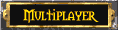 Multiplayer
