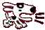 Barking Dog