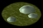 The Bubble Monster