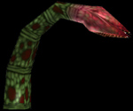 Carnivorous Plant