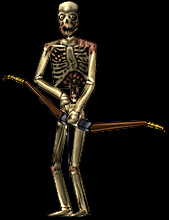 Skeleton