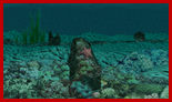 Ocean Floor (5033 bytes)